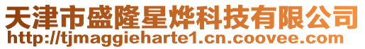 天津市盛隆星燁科技有限公司