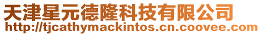 天津星元德隆科技有限公司