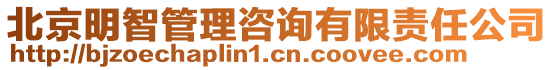 北京明智管理咨詢(xún)有限責(zé)任公司