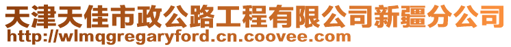 天津天佳市政公路工程有限公司新疆分公司