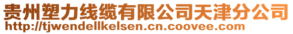 貴州塑力線纜有限公司天津分公司