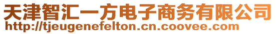 天津智匯一方電子商務(wù)有限公司