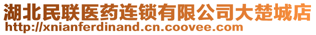 湖北民聯(lián)醫(yī)藥連鎖有限公司大楚城店