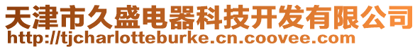 天津市久盛電器科技開發有限公司