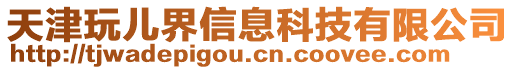 天津玩兒界信息科技有限公司