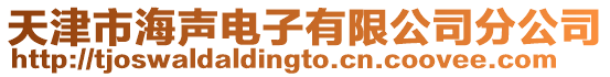 天津市海聲電子有限公司分公司