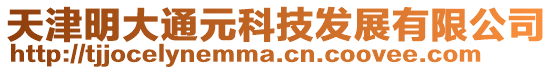 天津明大通元科技發(fā)展有限公司