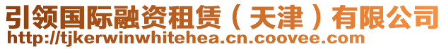 引領(lǐng)國際融資租賃（天津）有限公司