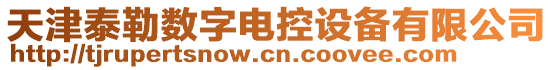 天津泰勒數(shù)字電控設(shè)備有限公司