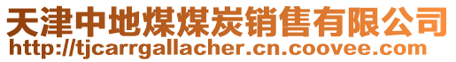 天津中地煤煤炭銷售有限公司