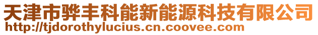 天津市驊豐科能新能源科技有限公司