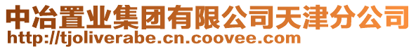 中冶置業集團有限公司天津分公司