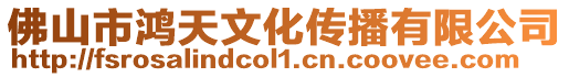 佛山市鴻天文化傳播有限公司
