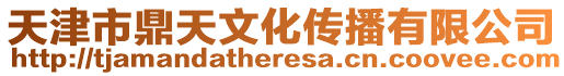 天津市鼎天文化傳播有限公司