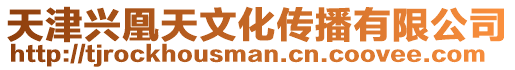 天津興凰天文化傳播有限公司