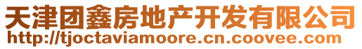 天津團鑫房地產開發有限公司