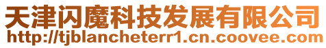 天津閃魔科技發(fā)展有限公司