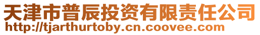 天津市普辰投資有限責任公司