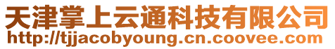 天津掌上云通科技有限公司
