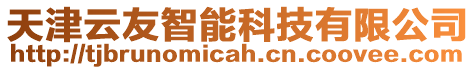 天津云友智能科技有限公司
