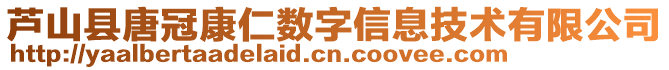 蘆山縣唐冠康仁數(shù)字信息技術(shù)有限公司