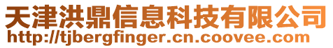 天津洪鼎信息科技有限公司