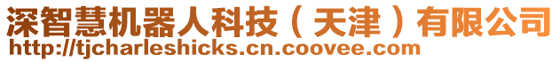 深智慧機器人科技（天津）有限公司