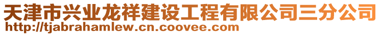 天津市興業龍祥建設工程有限公司三分公司