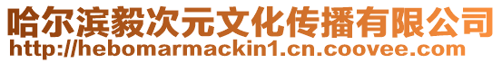 哈爾濱毅次元文化傳播有限公司