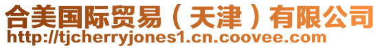 合美國際貿易(天津)有限公司