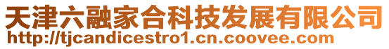 天津六融家合科技發展有限公司