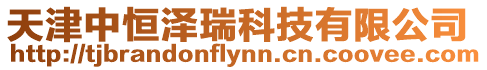 天津中恒澤瑞科技有限公司