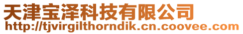 天津寶澤科技有限公司