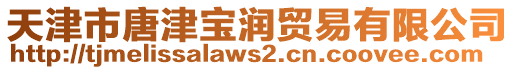 天津市唐津?qū)殱欃Q(mào)易有限公司