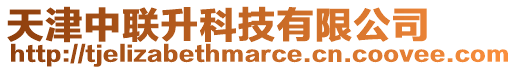 天津中聯升科技有限公司