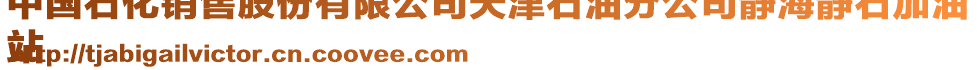 中國(guó)石化銷售股份有限公司天津石油分公司靜海靜石加油
站