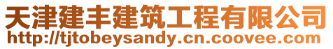 天津建豐建筑工程有限公司