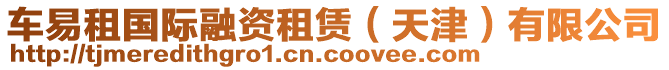 車易租國際融資租賃（天津）有限公司