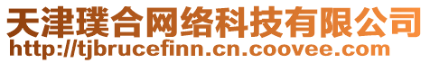 天津璞合網(wǎng)絡(luò)科技有限公司