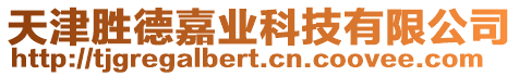 天津勝德嘉業(yè)科技有限公司