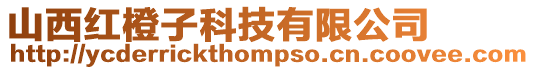山西紅橙子科技有限公司