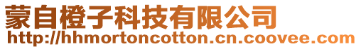 蒙自橙子科技有限公司