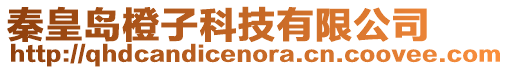 秦皇島橙子科技有限公司