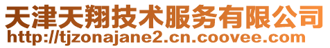 天津天翔技術服務有限公司
