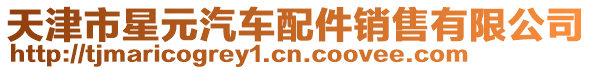 天津市星元汽車配件銷售有限公司