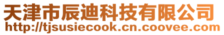 天津市辰迪科技有限公司