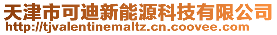 天津市可迪新能源科技有限公司