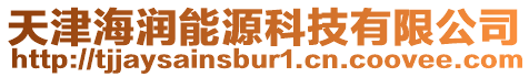 天津海潤能源科技有限公司
