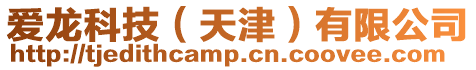 愛龍科技(天津)有限公司