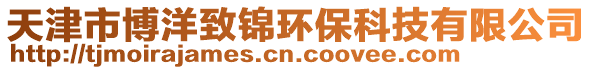 天津市博洋致錦環保科技有限公司